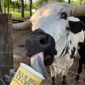 Meet your Posher, Lefty